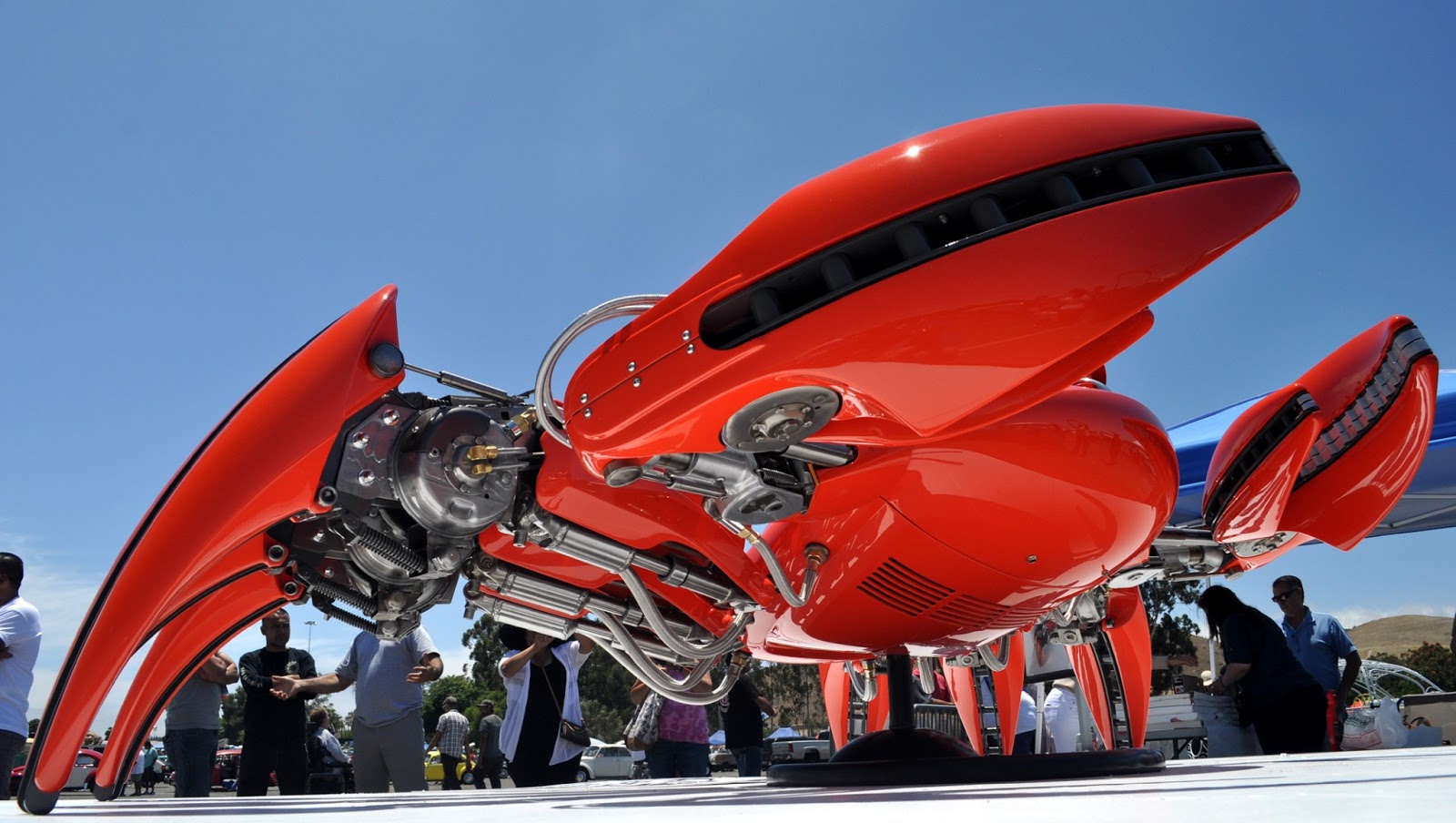 bones的機械螃蟹_牛摩網