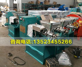 全自動(dòng)螺旋榨油機(jī)小型榨油機(jī)多少錢？價(jià)格因素與選購指南