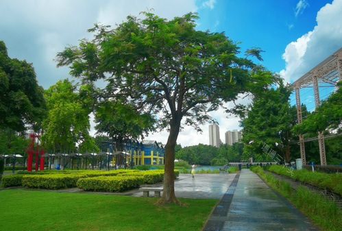 廣東中山 一座由舊廠房蝶變的獲獎(jiǎng)公園，如何用創(chuàng)意點(diǎn)亮城市記憶？