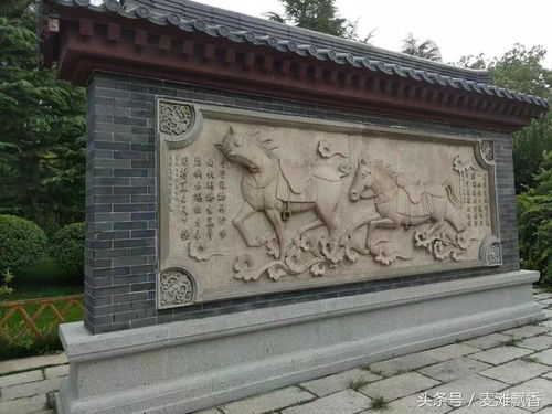 五龍?zhí)?五元門票里的濟(jì)南溫情